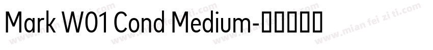 Mark W01 Cond Medium字体转换